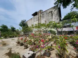 Tanah Tanjung Morawa dijual murah