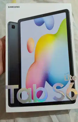 Samsung tab s6 lite