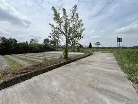2 Jtan Tanah Murah Kaliurang Pekarangan