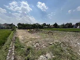 Tengah Kota Jogja Tanah Murah Pekarangan