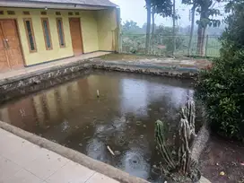 Rumah + Kolam  Pemandangan  Bagus