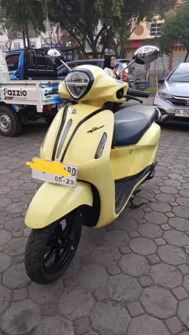 Filano kuning 2024