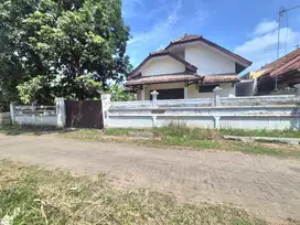 Rumah halaman Luas Banyuwangi kota