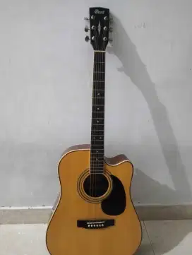 gitar akustik CORT AD 880
