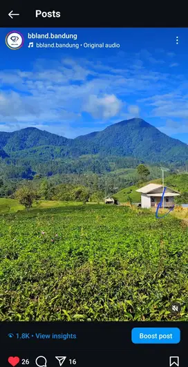 Jual Kebun Teh Bandung