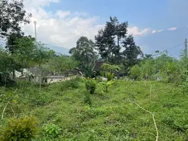 Tanah Strategis Bangun Villa Hanya 1 Menit Dari Kebun Teh Kemuning