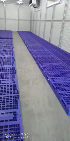 Di Sewakan Gudang Pendingin Cold storage Margomulyo