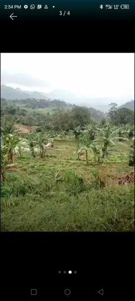 DIJUAL tanah pinggir jalan jalur Puncak 2, Lokasi strategis