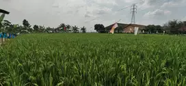 Dijual Tanah Karawang Barat (SHM)