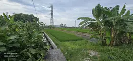 Pasuruan. Desa beji. Lahan industri
