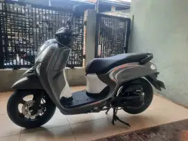 HONDA NEW SCOOPY 2024/2025