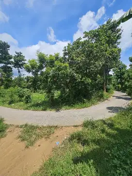 Tanah datar view laut di dataran tinggi dekat proyek  airpprt