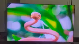 Samsung Qled smart tv 55 inch with one connect Sempurna