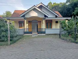 jual  rumah  murah  d Kediri lokasi strategis