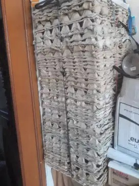 Tempat telor ayam - bekas pakai