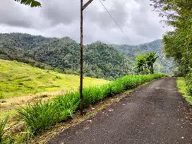 JUAL TANAH DI GIRIMULYO KULONPROGO VIEW PEGUNUNGAN