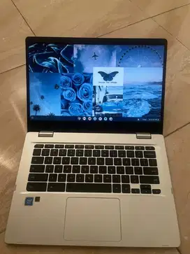 Asus Chromebook - C423NA