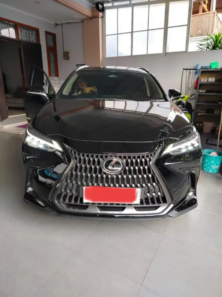 Dijual Lexus NX350 Hybrid AT pribadi