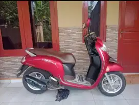 Honda Scoopy Stylish 2019