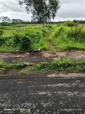 JUAL TANAH DEKAT BANDARA YIA KULONPROGO