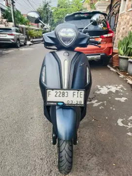 Grand filano lux 2023