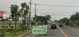 (B) Tanah Ciamik LD 100 mtr, Dpn Gerbang TOL Dumpil MADIUN