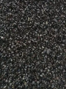 Coral split 1/2