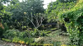 TANAH MURAH DI ARCO 1 JUTAAN NEGO LOKASI STRATEGIS