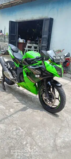 KAWASAKI NINJA RR MONO 250