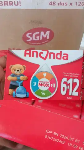 SGM Ananda 6-12 1 Karton (48 pcs)