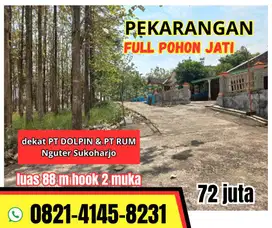 DI JUAL TANAH PEKARANGAN FUL JATI 2 MUKA DEKAT PT DOLPIN NGUTER NGUTER