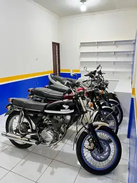 Honda Tiger dll