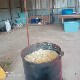 Telur rebus pakan ikan dan ternak
