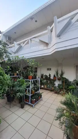 Rumah Asri 2 Lantai Di Pluit Muara Karang Jakarta Utara