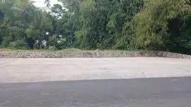 Di JUAL tanah pekarangan SHM harga dibawah pasaran BU