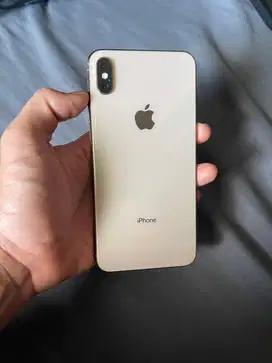 Xs max 256 inter