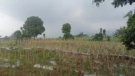 Kavling Villa Tamansari Lokasi Potensial 8 Menit Curug Nangka Free SHM