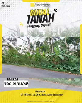 Tanah Kebun Luas 4554m² di Penggung Boyolali, Lebar 25m