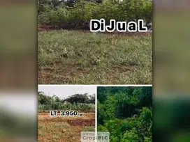 Dijual Tanah di Gorowong, Bogor