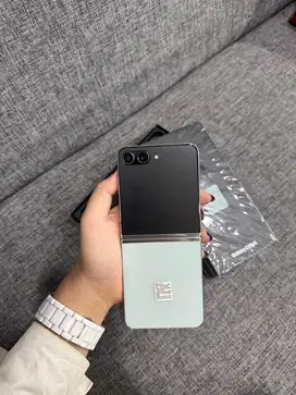 samsung z flip 5 ex sein