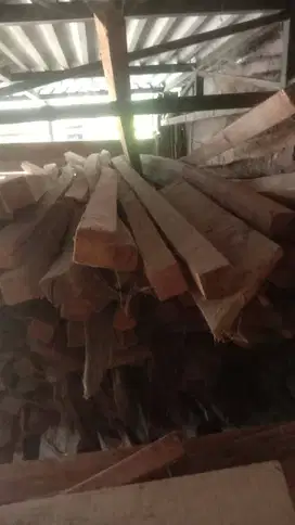 KASO REJECT /KAYU KASO ALBA /M3