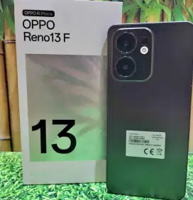OPPO RENO 13F 8+8/256