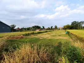 Pinggir jalan Aspal. Dekat Pasar Gamping Jogja, lebar depan 9m, SHM
