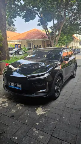 NETA X 2024 Listrik