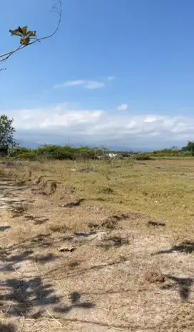 Kavling Besar Kawasan Jembrana Bali Tersedia Banyak Lot Luas 1000-3000