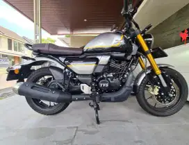 TVS RONIN 225 TD