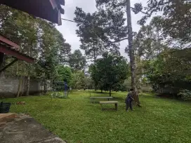 Kebun Durian Jumantono Karanganyar