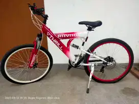 Dijual MTB (Mountain Bike) 26inch, 21 speed, Disc Brakes