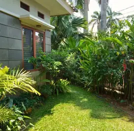 Rumah Mewah Semi Furnished di Sektor 9 Bintaro