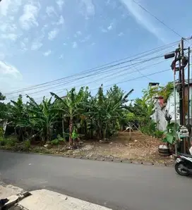 Tanah Tembalang Bulusan Undip